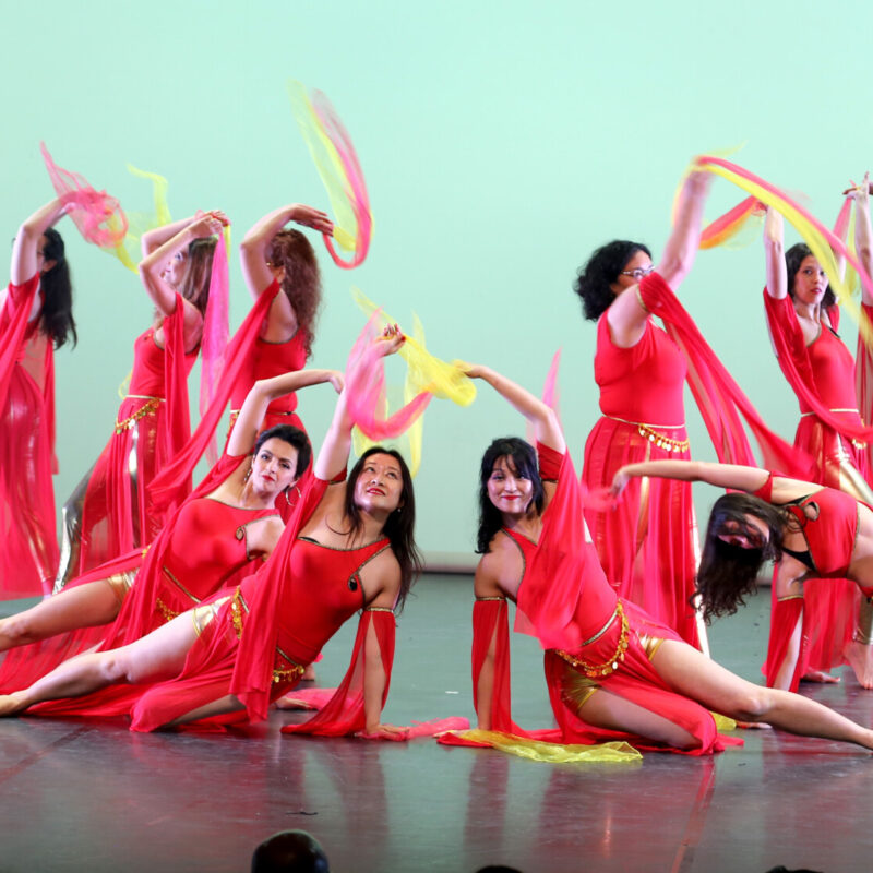 Spectacle Danse Orientale